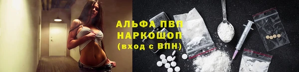 стаф Алексин