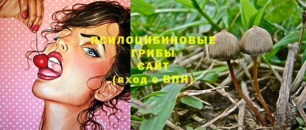 тгк Алексеевка