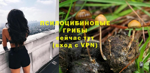 тгк Алексеевка