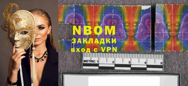 стаф Алексин