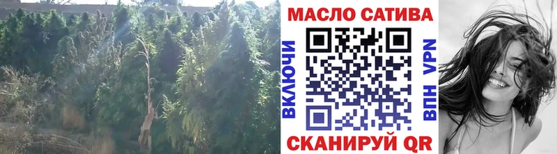 KRAKEN зеркало  Себеж  Дистиллят ТГК концентрат 